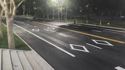河南三艾斯標線涂料解析與行業趨勢分析